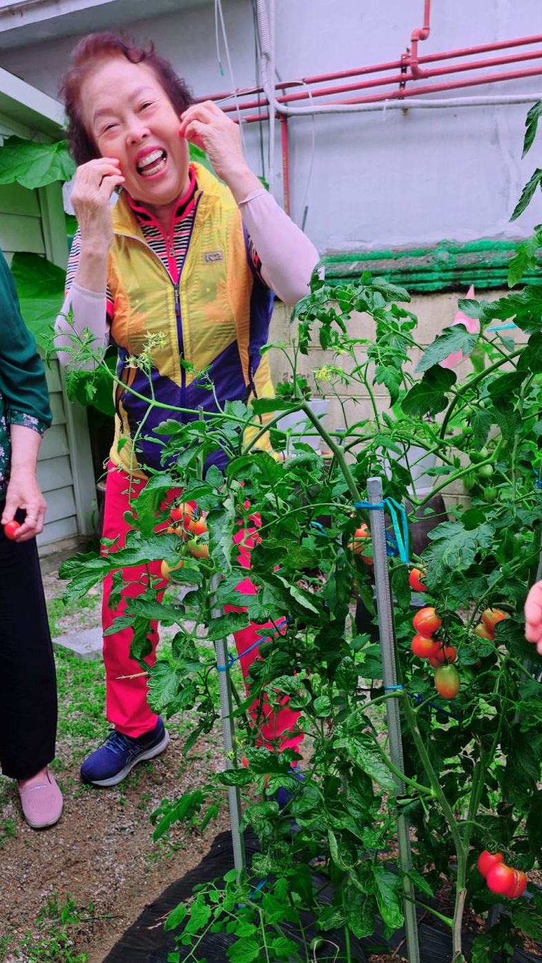 0715 농작물 수확 05 22106_0-crop.jpg