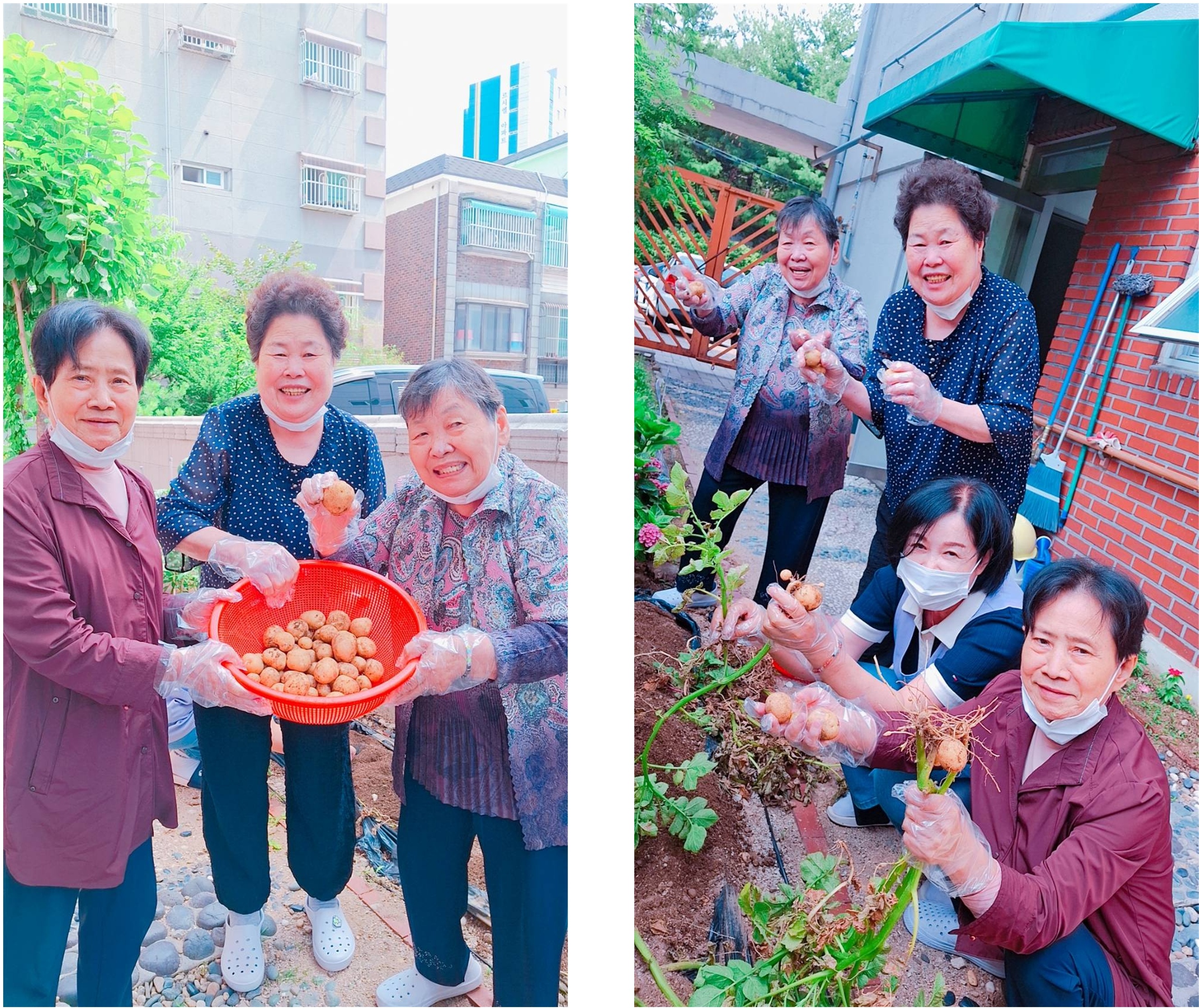 0 7월 홈페이지-텃밭가꾸기 01001-crop.jpg
